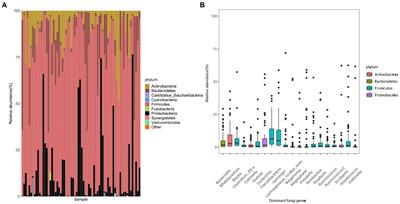 Association of the gut microbiome with fecal short-chain fatty acids, lipopolysaccharides, and obesity in young Chinese college students